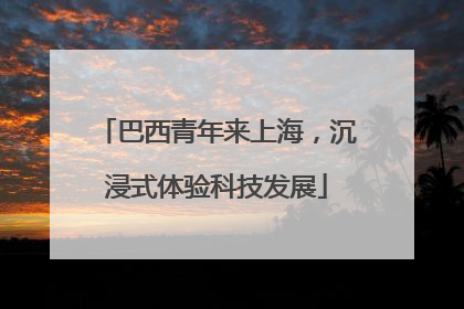 巴西青年来上海，沉浸式体验科技发展