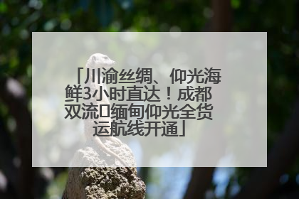 川渝丝绸、仰光海鲜3小时直达！成都双流⇌缅甸仰光全货运航线开通