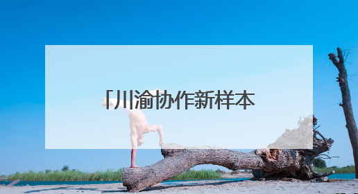 川渝协作新样本！乐至生态白鹅牵手荣昌卤鹅点燃产业新引擎