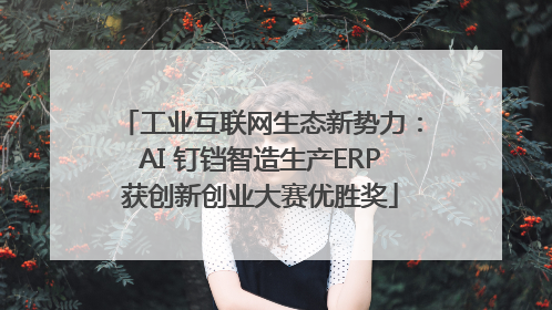 工业互联网生态新势力：AI 钉铛智造生产ERP获创新创业大赛优胜奖