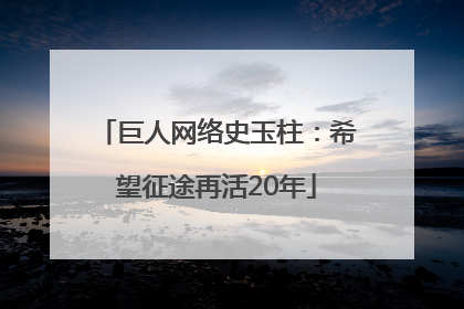 巨人网络史玉柱：希望征途再活20年