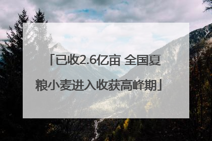 已收2.6亿亩 全国夏粮小麦进入收获高峰期