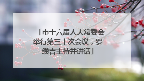 市十六届人大常委会举行第三十次会议，罗缵吉主持并讲话