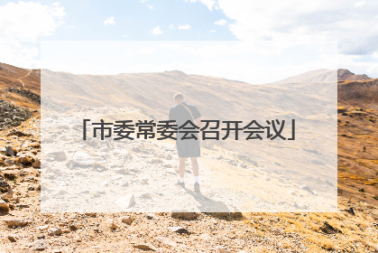 市委常委会召开会议