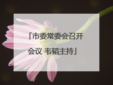 市委常委会召开会议 韦韬主持