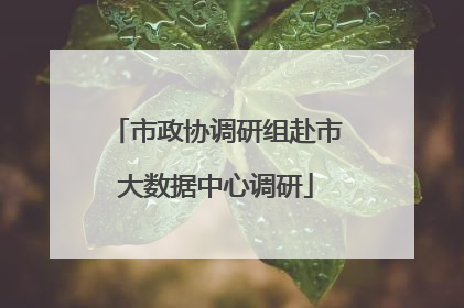 市政协调研组赴市大数据中心调研