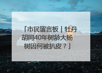 市民留言板｜牡丹胡同40年树龄大杨树因何被扒皮？
