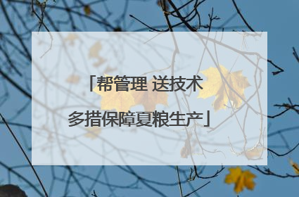 帮管理 送技术 多措保障夏粮生产