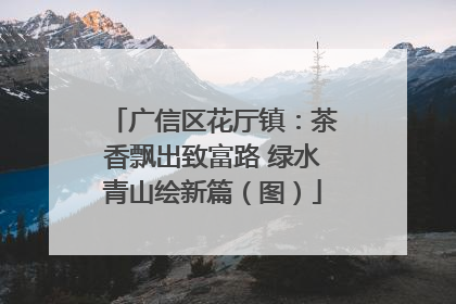 广信区花厅镇：茶香飘出致富路 绿水青山绘新篇（图）