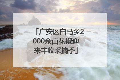 广安区白马乡2000余亩花椒迎来丰收采摘季