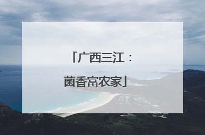 广西三江：菌香富农家
