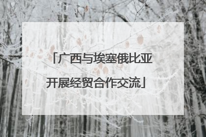 广西与埃塞俄比亚开展经贸合作交流