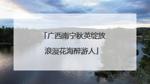 广西南宁秋英绽放 浪漫花海醉游人