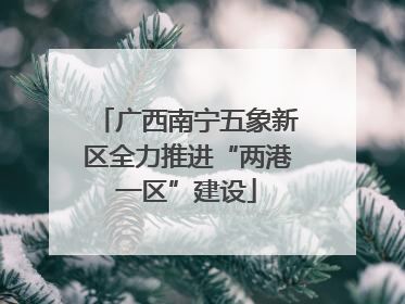 广西南宁五象新区全力推进“两港一区”建设