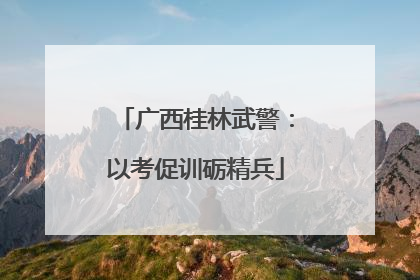 广西桂林武警：以考促训砺精兵