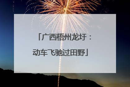 广西梧州龙圩：动车飞驰过田野