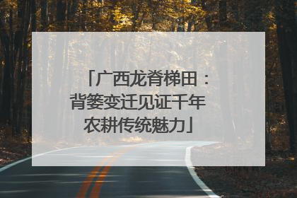 广西龙脊梯田：背篓变迁见证千年农耕传统魅力