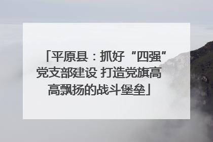平原县：抓好“四强”党支部建设 打造党旗高高飘扬的战斗堡垒