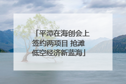 平潭在海创会上签约两项目 抢滩低空经济新蓝海