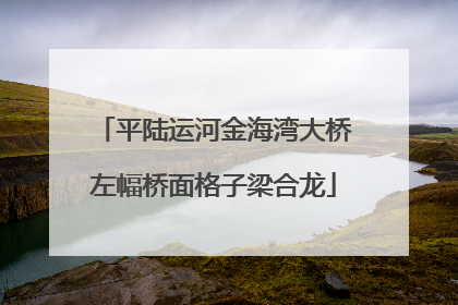 平陆运河金海湾大桥左幅桥面格子梁合龙