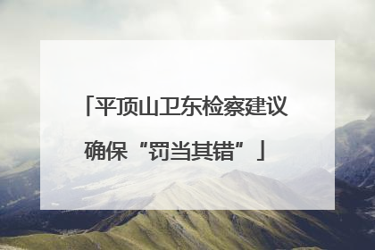 平顶山卫东检察建议确保“罚当其错”