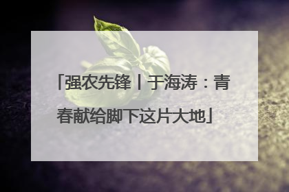 强农先锋丨于海涛：青春献给脚下这片大地