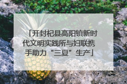 开封杞县高阳镇新时代文明实践所与妇联携手助力“三夏”生产