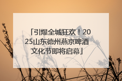 引爆全城狂欢！2025山东德州燕京啤酒文化节即将启幕