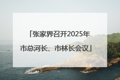 张家界召开2025年市总河长、市林长会议