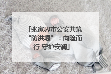 张家界市公安共筑“防洪堤”：向险而行 守护安澜