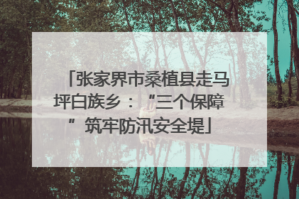 张家界市桑植县走马坪白族乡：“三个保障”筑牢防汛安全堤