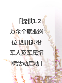 提供1.2万余个就业岗位 四川退役军人及军属招聘活动启动