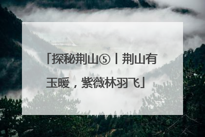 探秘荆山⑤丨荆山有玉暖，紫薇林羽飞