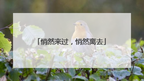 悄然来过，悄然离去