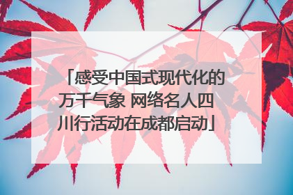 感受中国式现代化的万千气象 网络名人四川行活动在成都启动