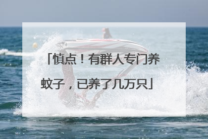 慎点！有群人专门养蚊子，已养了几万只
