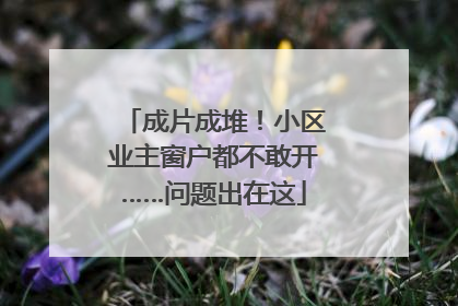 成片成堆！小区业主窗户都不敢开……问题出在这
