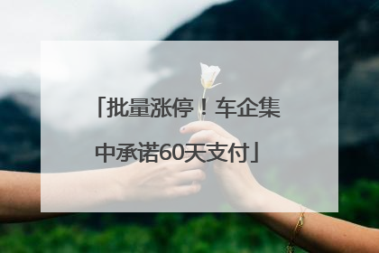 批量涨停！车企集中承诺60天支付