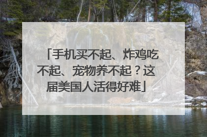手机买不起、炸鸡吃不起、宠物养不起？这届美国人活得好难