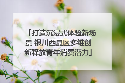 打造沉浸式体验新场景 银川西夏区多维创新释放青年消费潜力