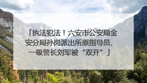 执法犯法！六安市公安局金安分局孙岗派出所原指导员、一级警长刘军被“双开”