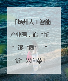 扬州人工智能产业园：追“新”逐“质” “新”兴向荣