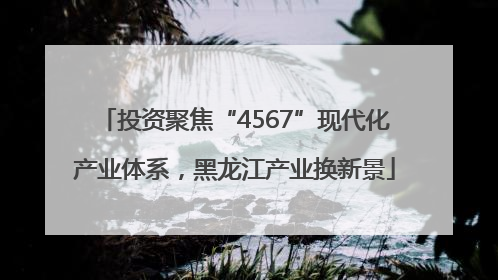 投资聚焦“4567”现代化产业体系，黑龙江产业换新景
