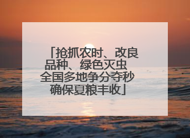 抢抓农时、改良品种、绿色灭虫 全国多地争分夺秒确保夏粮丰收