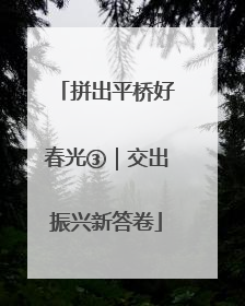 拼出平桥好春光③｜交出振兴新答卷