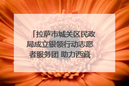 拉萨市城关区民政局成立银领行动志愿者服务团 助力西藏银发经济发展