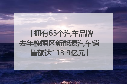 拥有65个汽车品牌 去年槐荫区新能源汽车销售额达113.9亿元