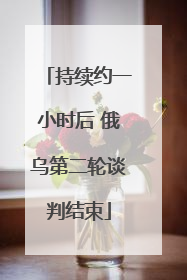 持续约一小时后 俄乌第二轮谈判结束