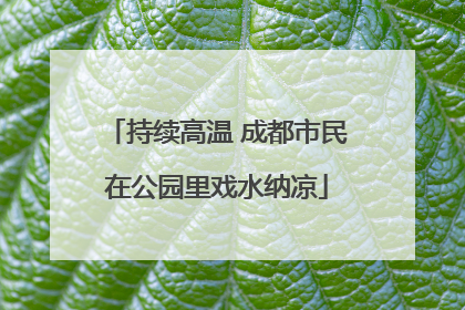 持续高温 成都市民在公园里戏水纳凉