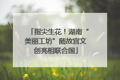 指尖生花！湖南“美丽工坊”随故宫文创亮相联合国